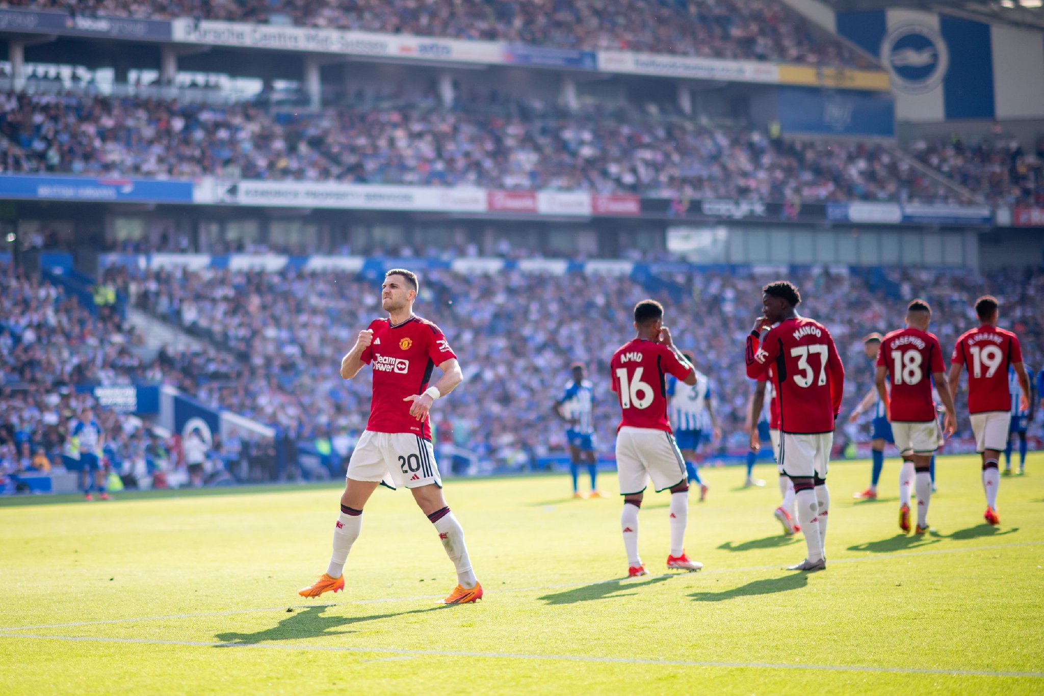 应对对手的 应对对手的